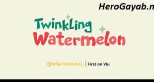 twinkling watermelon episode